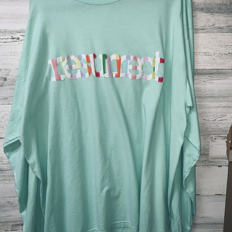 Seafoam Comfort Color Long Sleeve T-shirt with RESURRECT lettering on the front in Multicolored Ticking Stripe Fabric
Size 2X