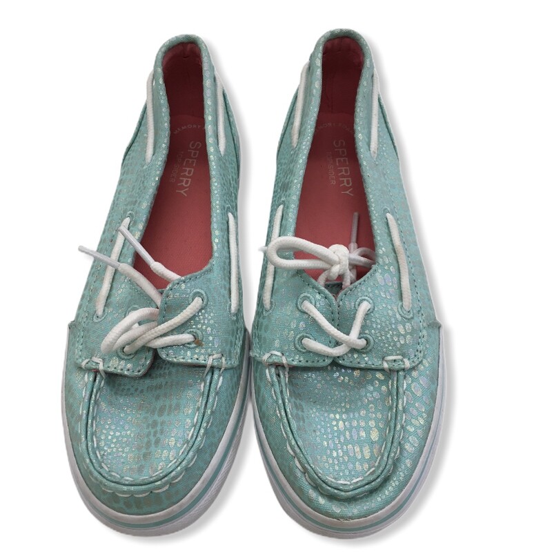Shoes (Teal)