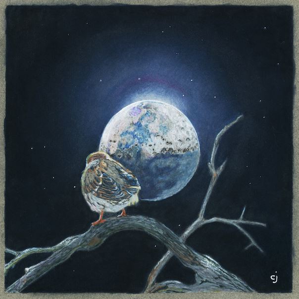 Title: Late Night Talks With The Moon
Artist: Carol Joannette
Size: 8in x 8in
Medium: Colored Pencil