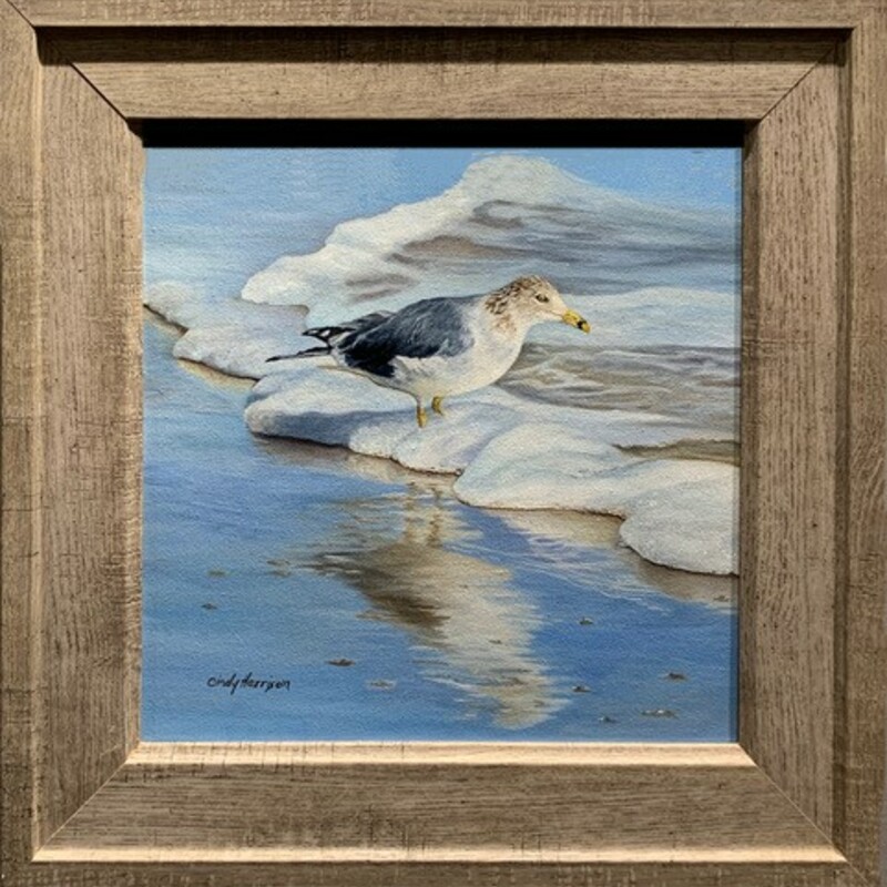 Title: J L Seagull, Artist: Cindy Harrison, Medium: Oil, Size: 12inx12in with frame 16inx16in  Statement: This Ring-billed gull was inspired by one of many birdwatching trips to the Outer Banks. Jonathan Livingston Seagull immediately came to mind.