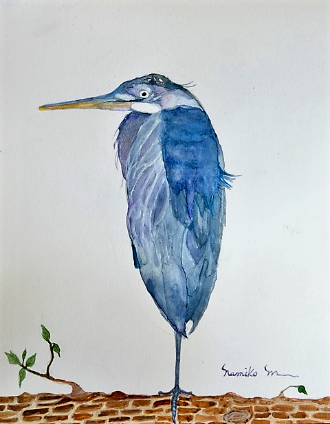 Title: Sending Me a Message, Artist:  Namiko Mahony,  Medium: Watercolor, Size: 8 x 10in,  Statement:  According to North American Native Tradition, The Blue Heron brings message of self determination and self reliance.  They represent an ability to progress and evolve... Every year the Blue Heron stops by stay on back yard fence.  I always feel lucky when I'm able to capture it with my camera. This one is beautiful, strong, and graceful, Hoping I will be able to see and welcome every year.