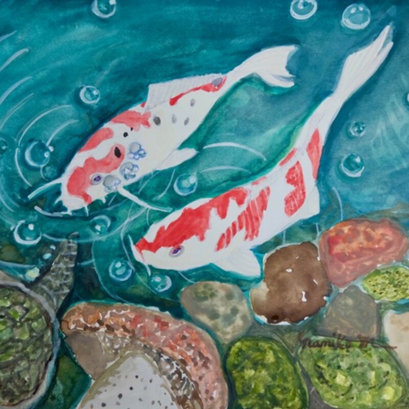 The Memory Of NIshiki Koi