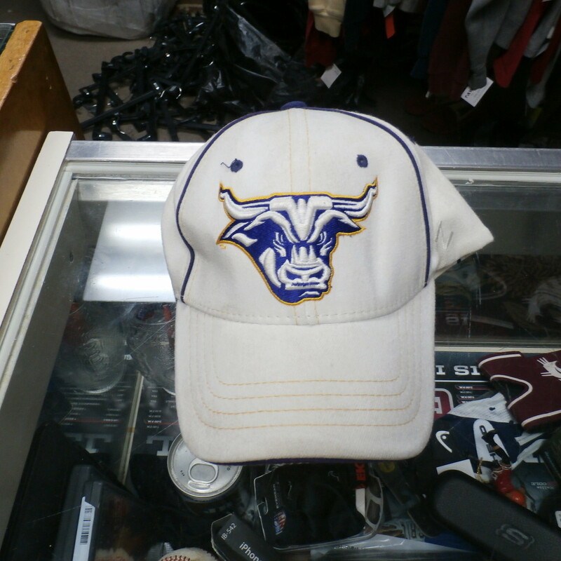 Minnesota State Mavs Hat