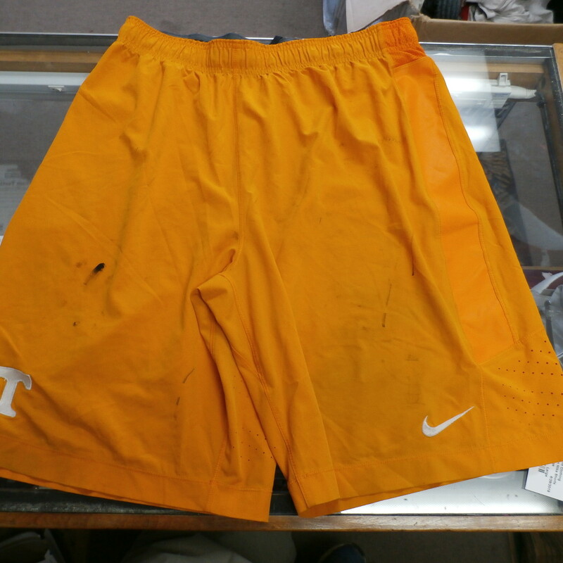 Tenn Nike Shorts