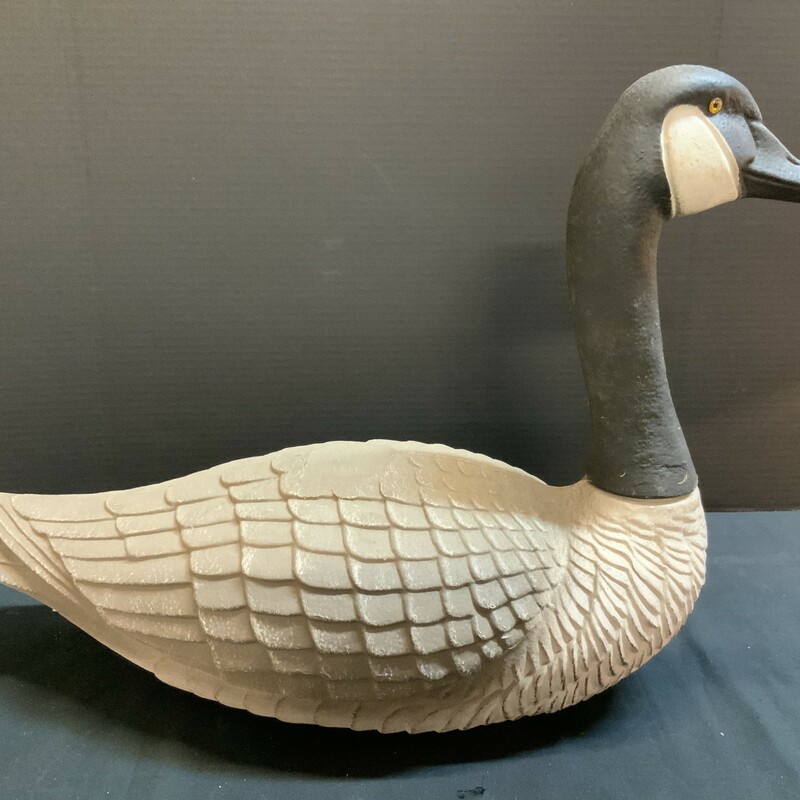 St. Louis MO.  Goose Decoy Glass eyes in great shape.