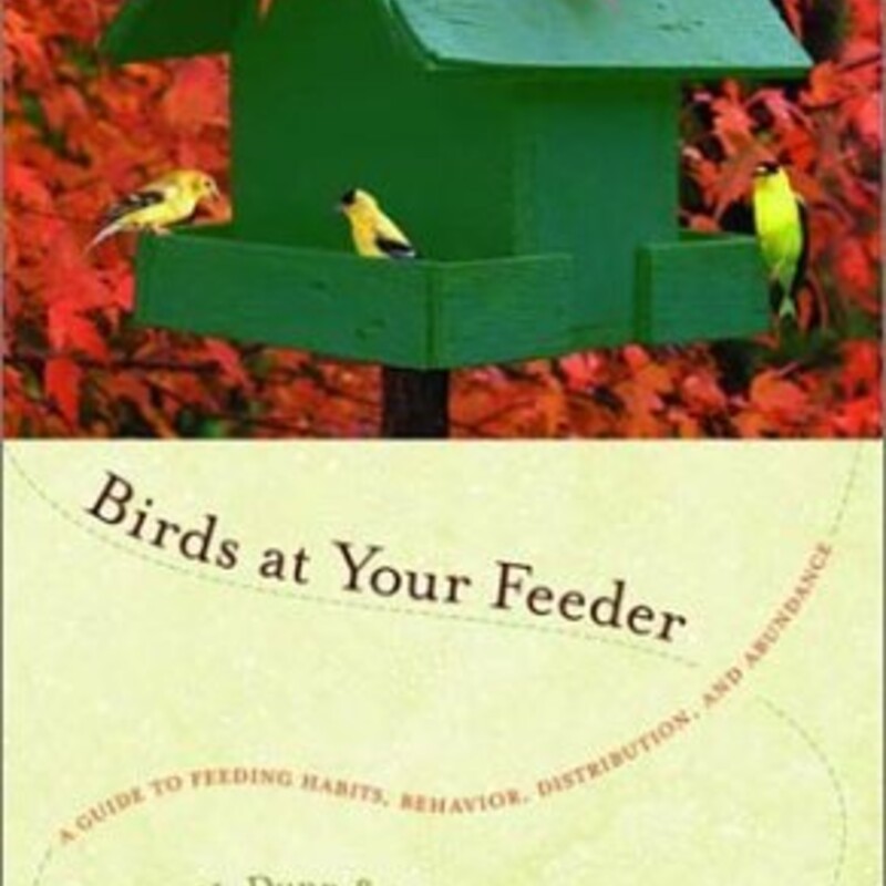 Birds At Your Feeder