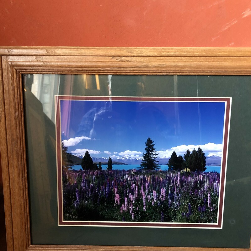 Tahoe Framed
