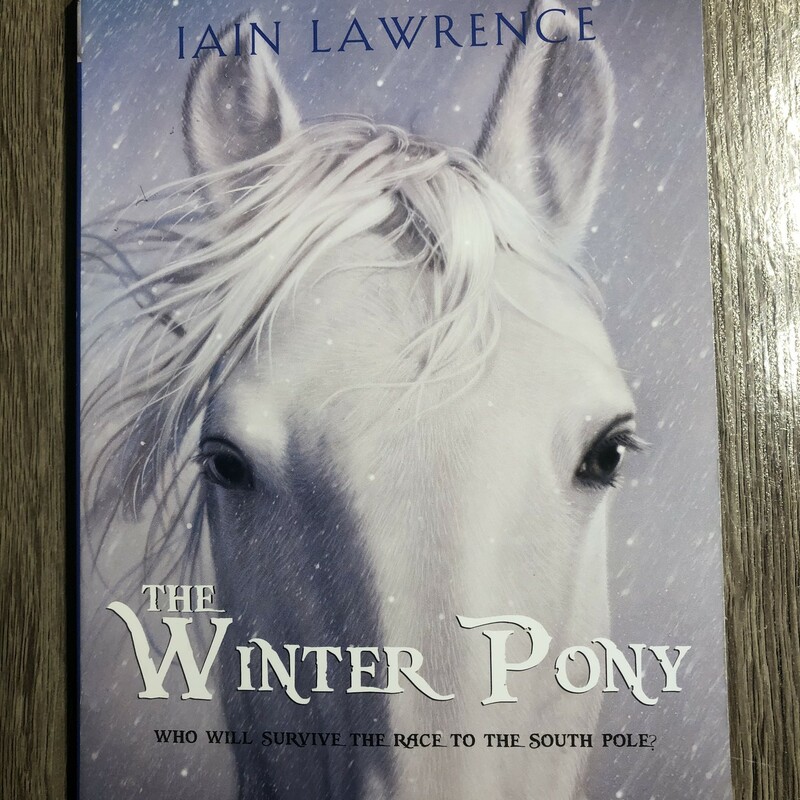 The Winter Pony, Multi, Size: Paperback