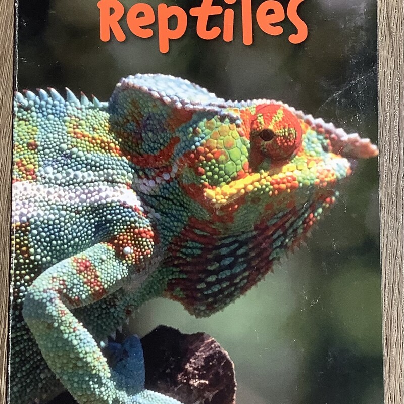Reptiles, Multi, Size: Paperback