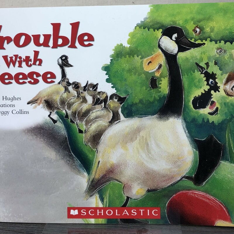 The Trouble With Geese, Multi, Size: Paperback