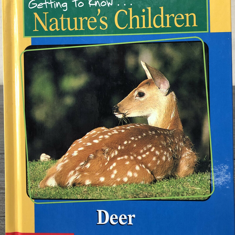 Getting To Know Deer, Multi, Size: Hardcover