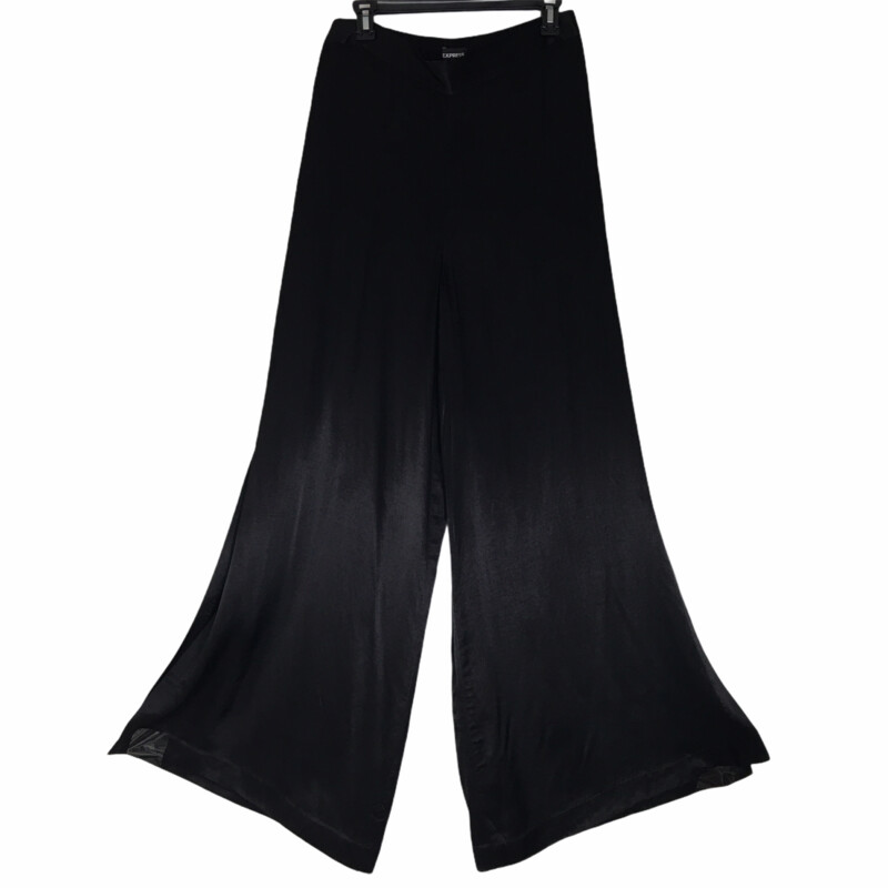 Express Silky Flared Pant