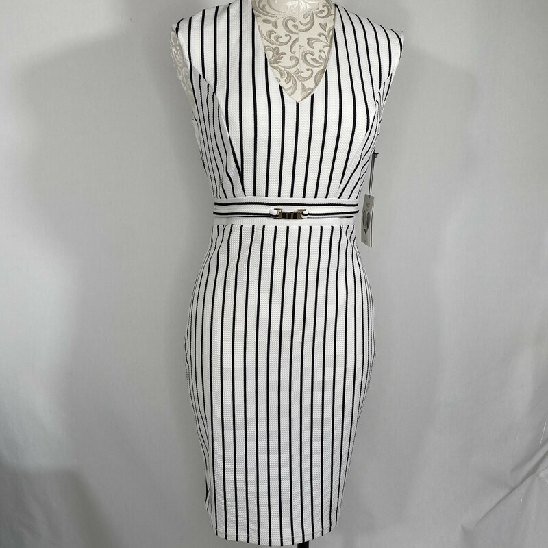 Iris Striped V Neck Dress