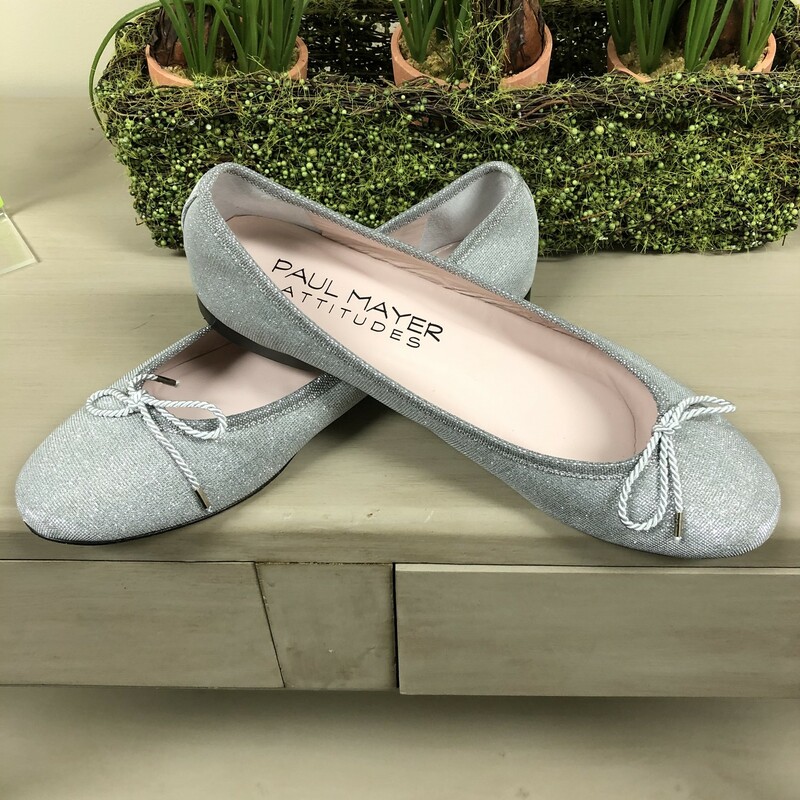 PAUL MAYER SILVER FLATS