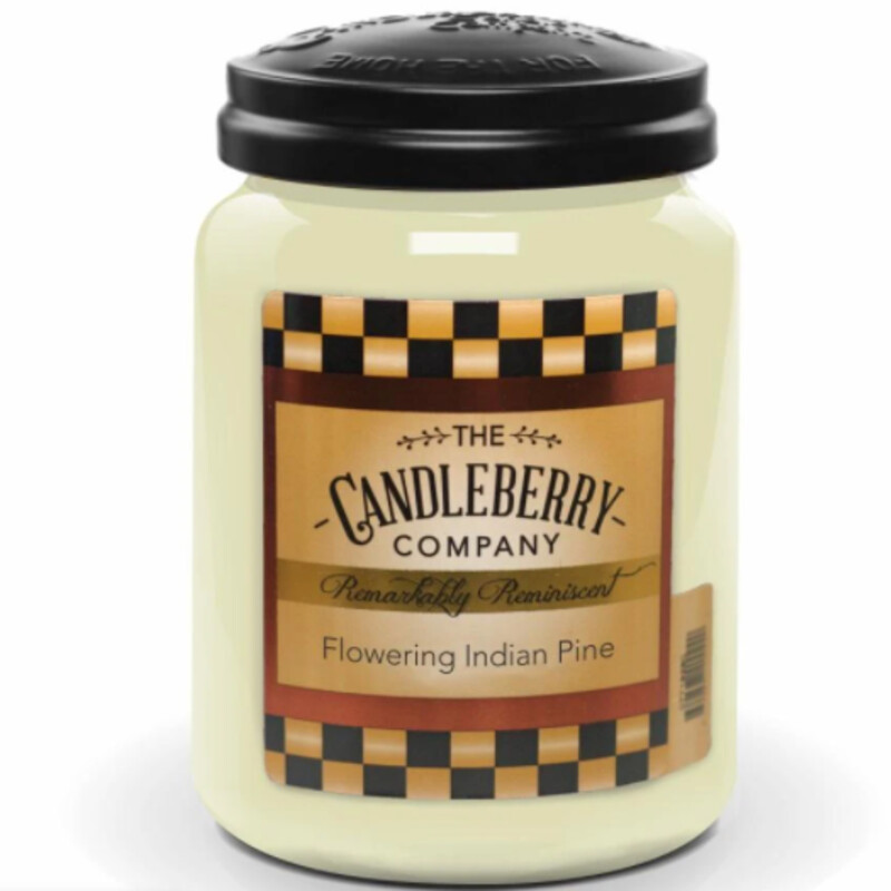 Flowering Indian Pine Candle
White Size: 26oz/160hr
Candleberry