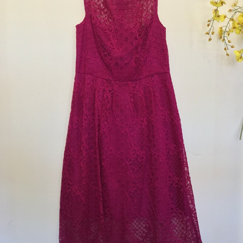 NEW Adrianna Papell Lace Dres, Purple, Size: 8