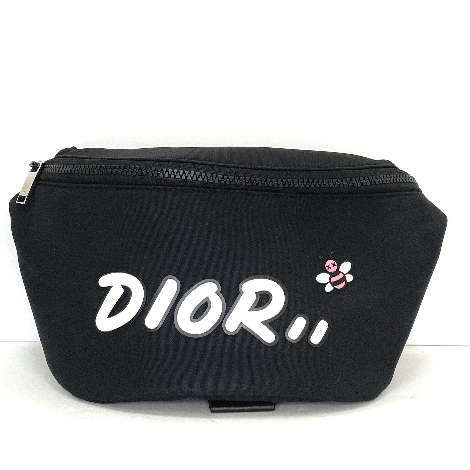 dior x kaws belt bag