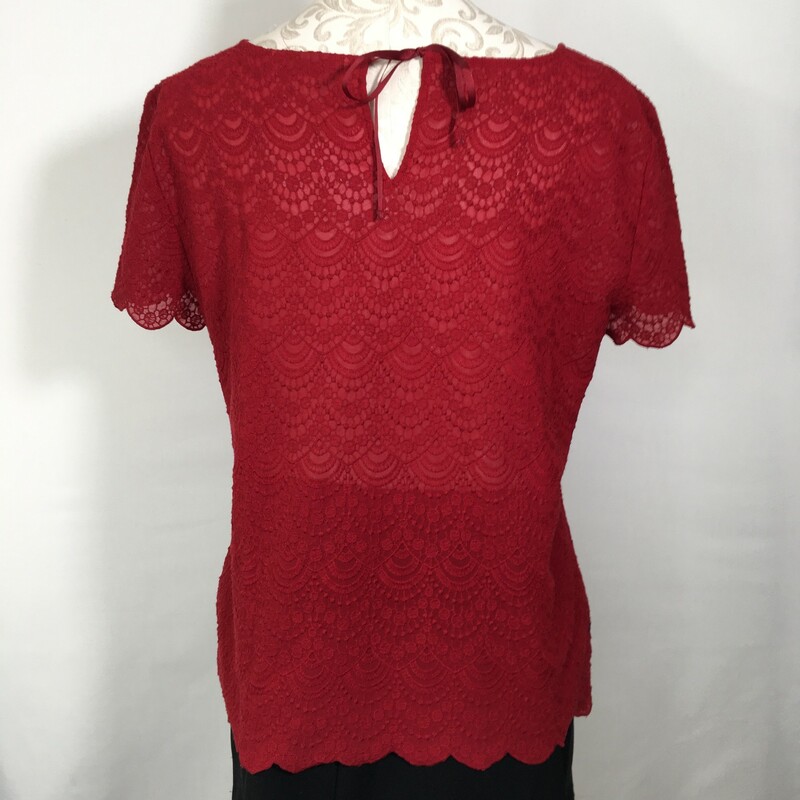 120-381 Loft, Red, Size: Medium red lace short sleeve shirt with scalloped edges 100% polyester  good