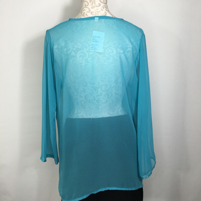 120-416 No Tag, Blue, Size: Large sheer long sleeve blouse with sequins no tag  good