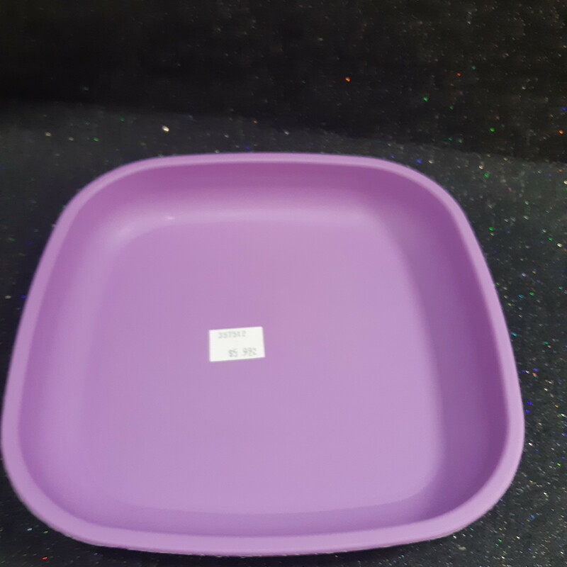 Recycled Plate Purple