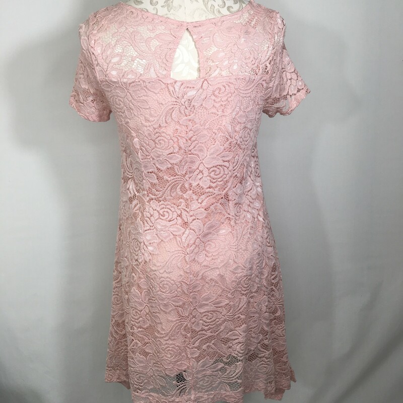 120-195 Roz And Ali, Pink, Size: Medium petite Pink lace dress nylon/spandex/polyesther