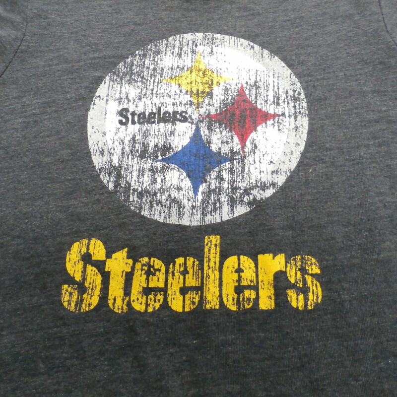 Pittsburgh Steelers Shirt  Recycled ActiveWear ~ FREE SHIPPING USA ONLY~