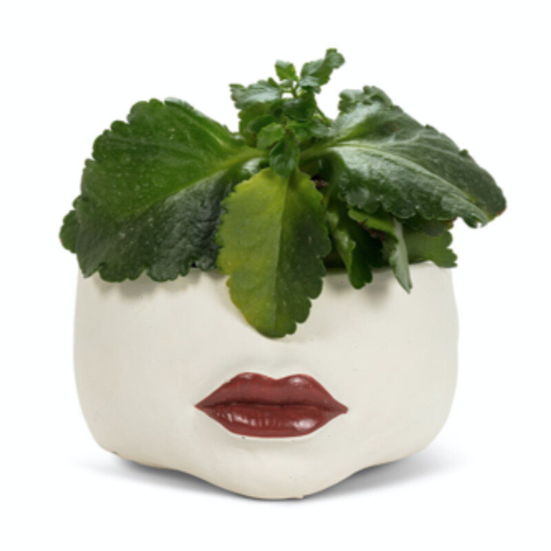 Give your favourite plant an unforgettable accent with this stunning Large Red Lips Planter. Crafted out of cement, this ivory planter features a luscious pair of three-dimensional, rudy-red pouty lips to highlight your most vibrant flowers or foliage. Smaller size also available. 7 inch Diameter