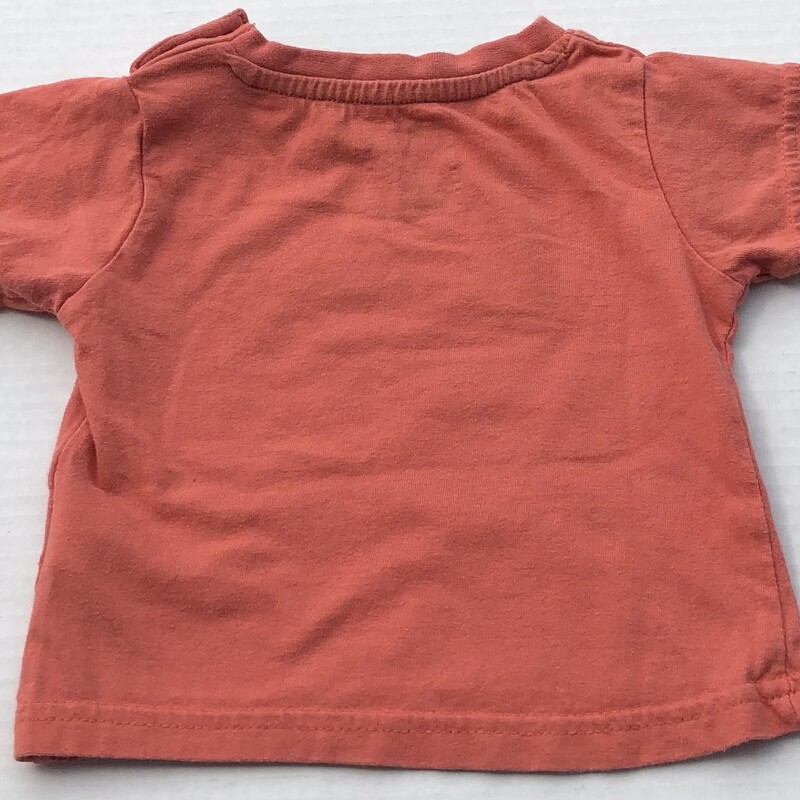 Little Dude T Shirt, Orange, Size: 6-9M
