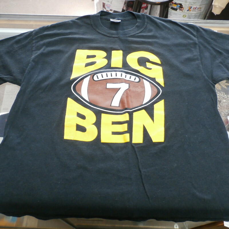 Pittsburgh Steelers Shirt  Recycled ActiveWear ~ FREE SHIPPING USA ONLY~