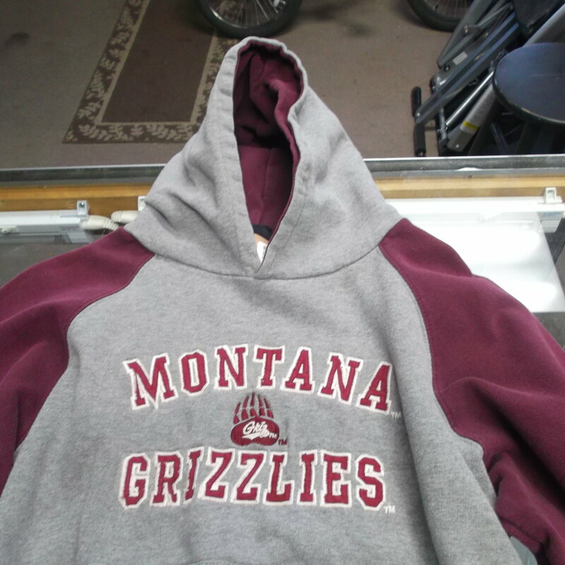 Montana Grizzlies YOUTH TSI Sportswear Size Large Gray Cotton Blend #8270
Rating:   (see below) 3 - Good Condition 
Team: Montana Grizzlies
Player: n/a
Brand: TSI Sportstwear
Size: Large - YOUTH(Measured Flat: Across Chest 20\"; Length 23\") Top of shoulder to the hem
Color: Gray
Style: Sweatshirt; Embroidered logo
Material: 70 Cotton 30 Polyester
Condition: - Good Condition - wrinkled; Stain on the front near the left shoulder; Some paint stains on the pocket; Significant Pilling and fuzz ; Stains on the sleeves; Material feels coarse; Definite signs of use(See Photos for condition and description)
Shipping: $6.35
Item #: 8270
