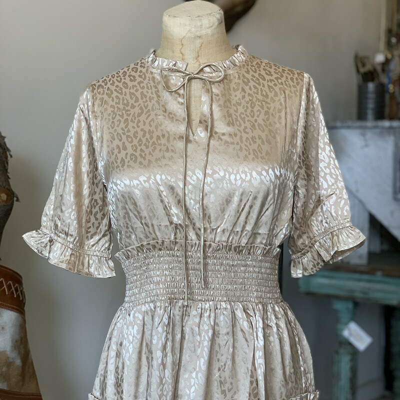 This new dress is such a fun and flirty outfit! The gold tone with the leopard pattern is the perfect combo!