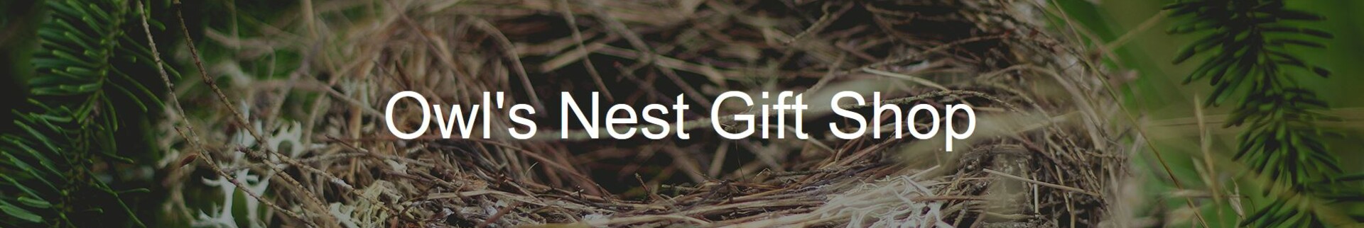 Owl's Nest's banner image.
