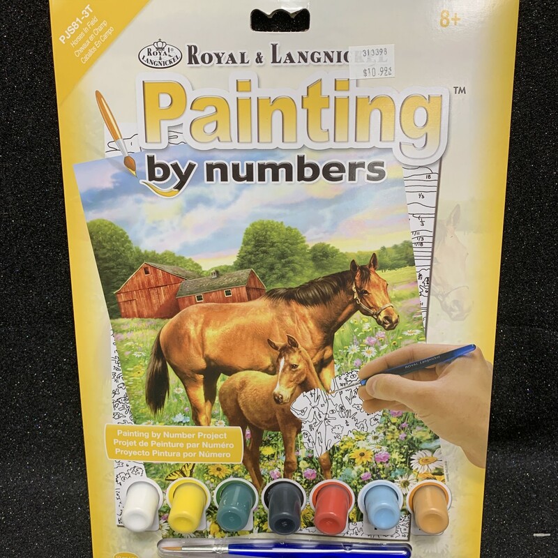 Horses Paint By Number, 8+, Size: Adult Art