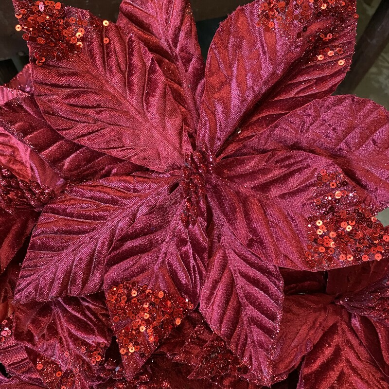 Red Velvet Poinsettia