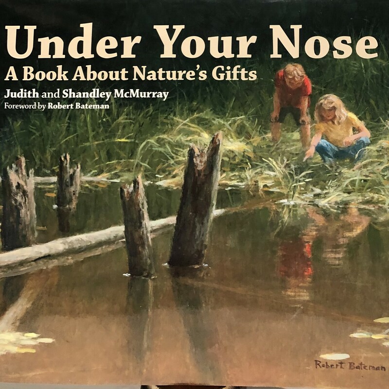 Under Your Nose, Multi, Size: Hardcover