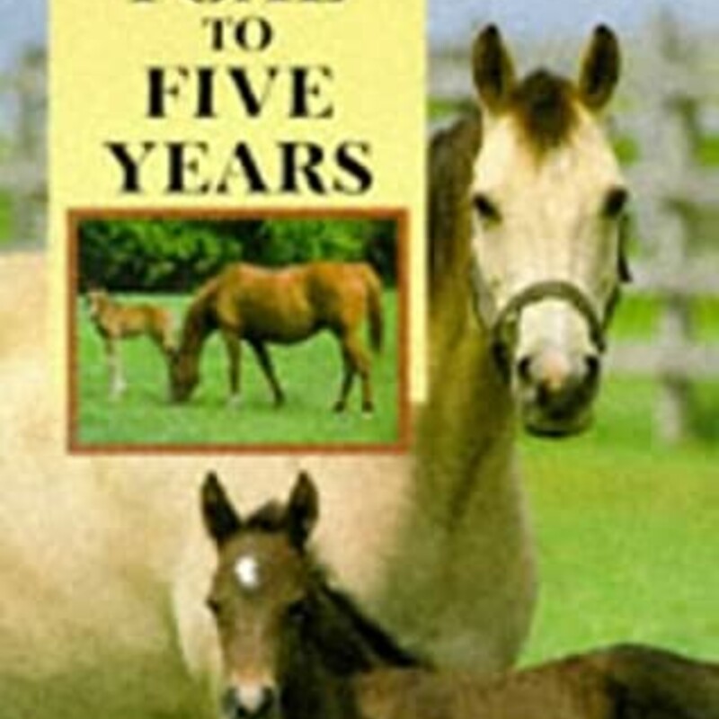 Foal To Five Years