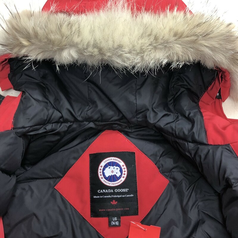 Canada Goose Rundle Down Bomber with a Fur Hood, Red,
Size: 14-16Y

Some Wear On Cuff and Eleastic waist band

Bomber jacket made in water and wind-resistant with a removable fur ruff and reflective piping at cuffs. Features tricot-lined storm flap, reinforced elbow patches, adjustable tunnel hood and additional fabric at sleeve for 1.5 extension for child growth.
Arctic Tech (85% Polyester, 15% Cotton); Fill: 625 Fill Power White Duck Down; Trim: Coyote Fur
Zipper, snap button closure
Made in Canada