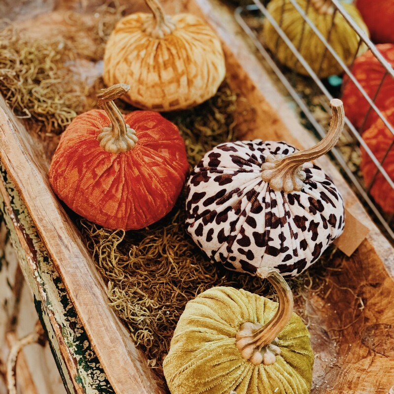These velvet pumpkins measure about 5 inches in diameter. They are available in orange, mustard, green, and leopard!