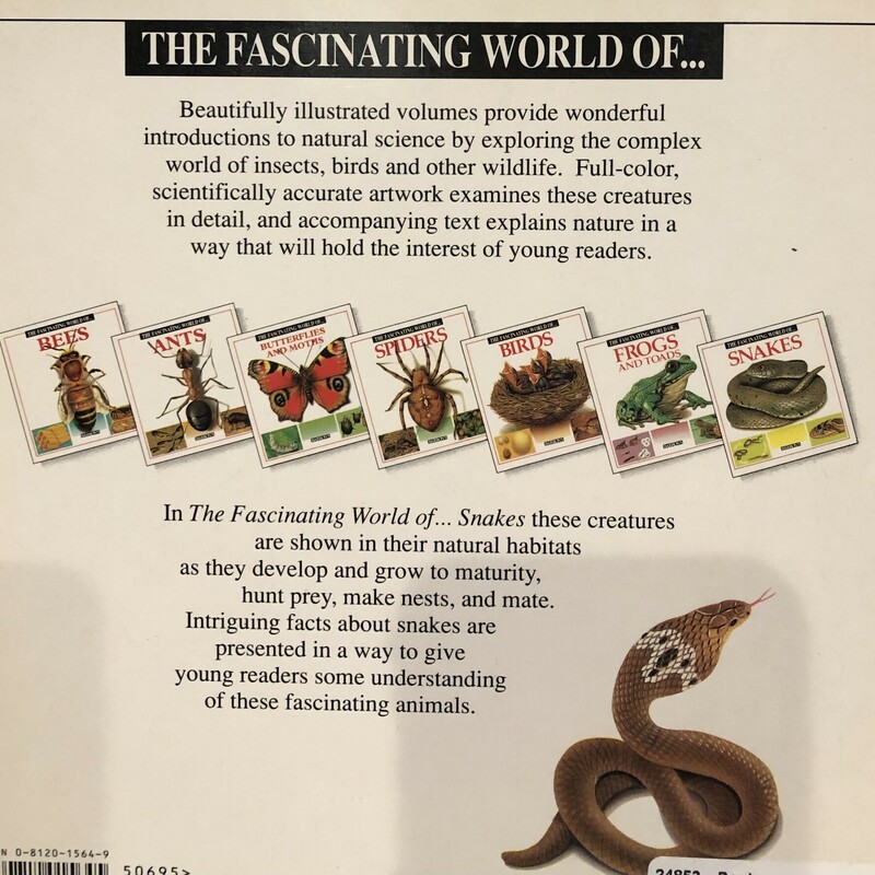 Snakes, Multi, Size: Paperback
