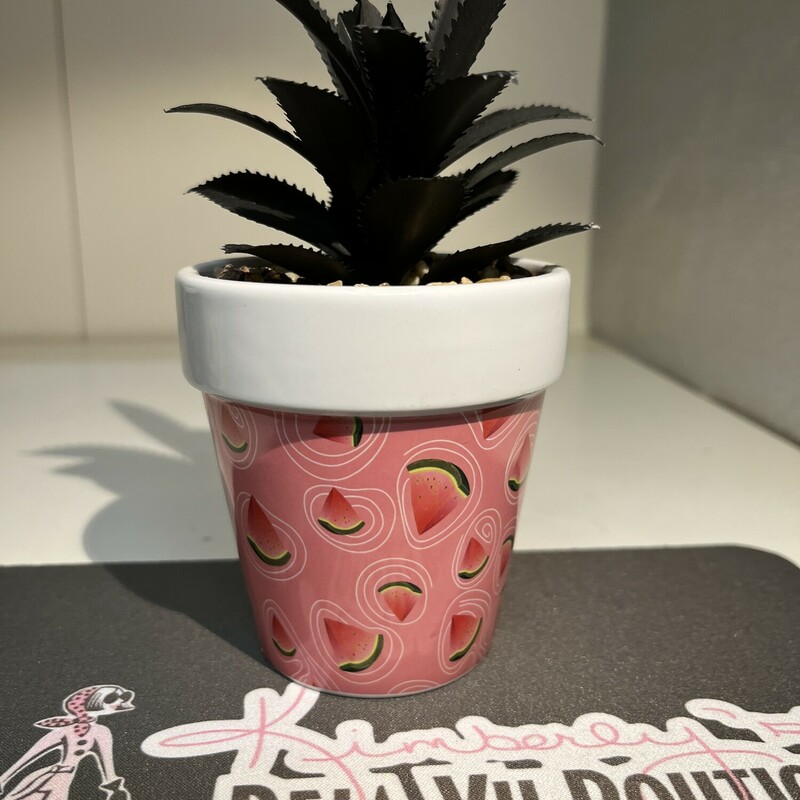 Watermelon Dolomite Pot With Succulent and mini stones
Size: 3 x 3 x 3.25
