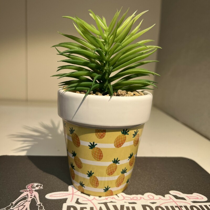 Pineapple Dolomite Pot With Succulent and mini stones
Size: 3 x 3 x 3.25