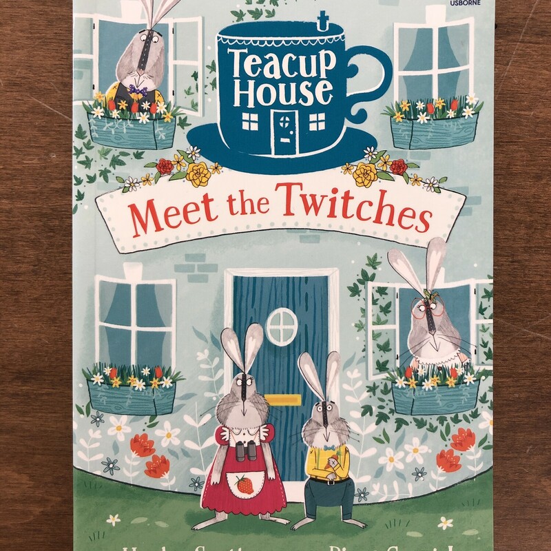 Meet The Twitches, Size: Usborne, Color: Chapter