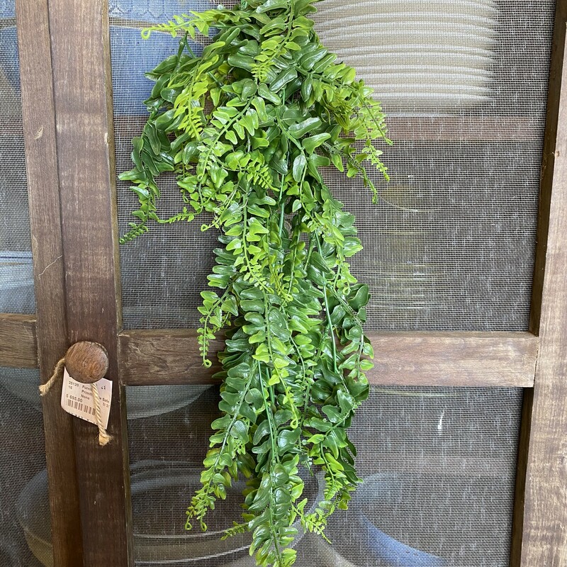 Draping Boston Fern measures 24 inches in length and is made of all plastic  which makes it perfect for use indoors, outdoors or any area that needs a touch of green without the hassel
Picture of vase contains 2 stems