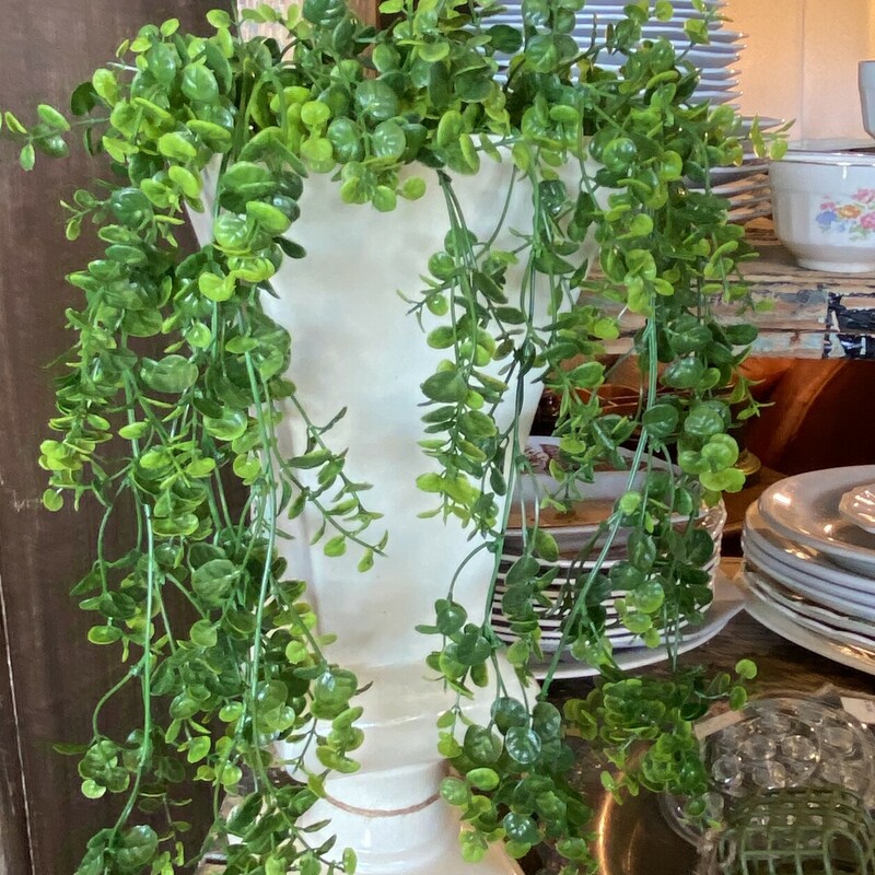Draping Boxwood measures 22 inches in length and is made of all plastic  which makes it perfect for use indoors, outdoors or any area that needs a touch of green without the hassel
Picture of vase contains 2 stems