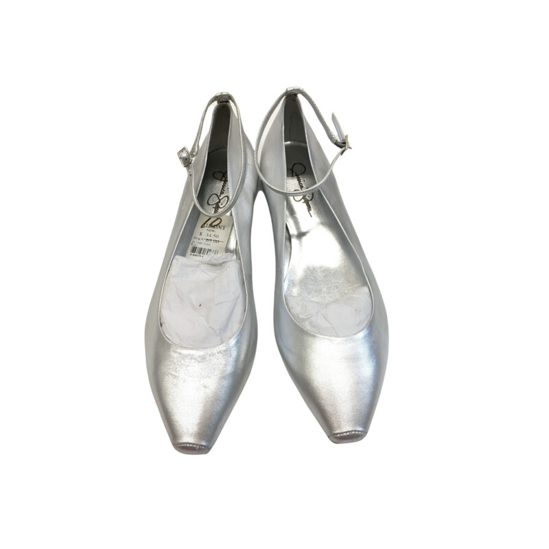 Shoes (Silver) NWT