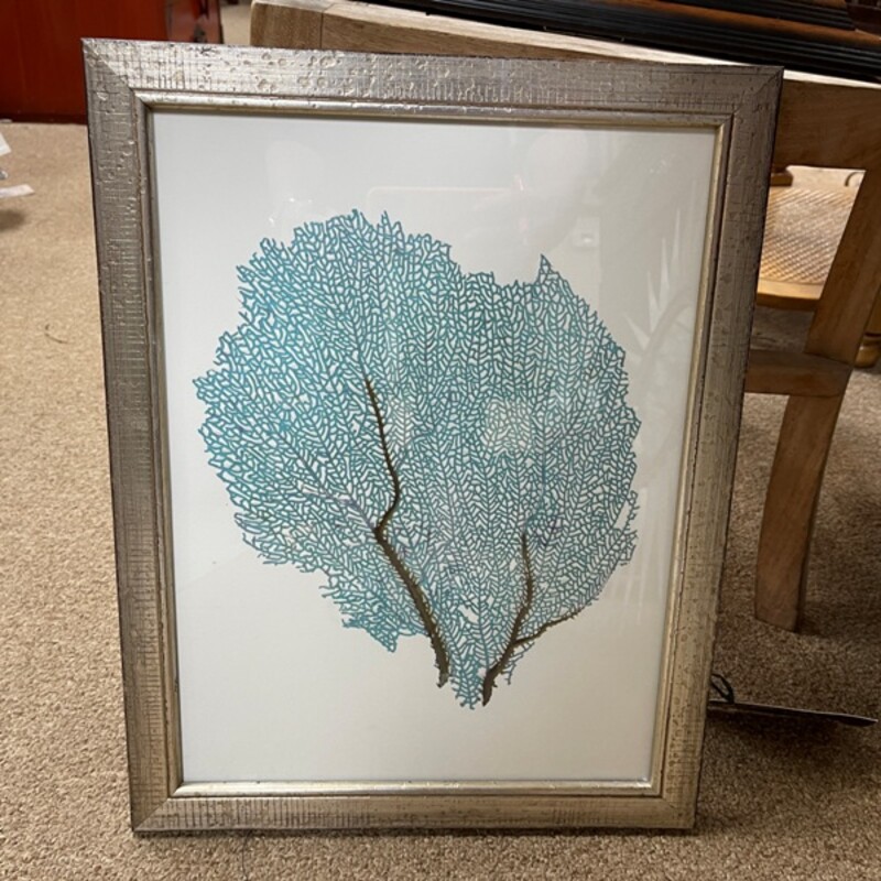 Blue Fan Coral Print, Size: 14x18