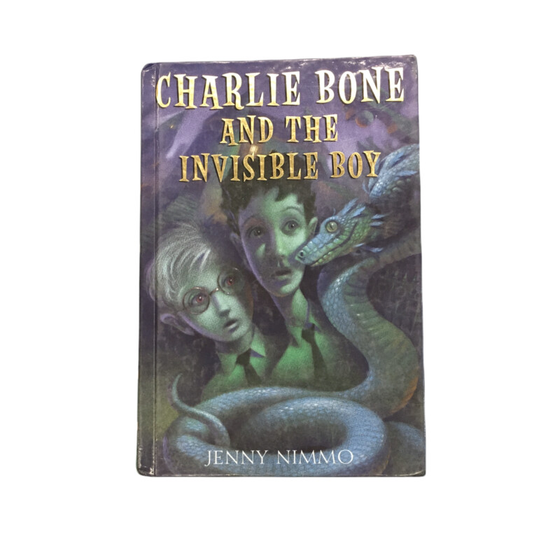 Charlie Bone And The Invi