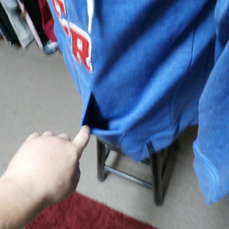 Chazer Men's Hooded Sweatshirt Blue Size Large cotton poly blend #33866
Rating:   (see below) 2- Great Condition
Team: N/A
Player: N/A
Brand:  Chazer
Size: Men's  Large (Measured Flat: across chest 21\", length 31\" )
Measured flat: armpit to armpit; top of shoulder to the bottom hem
Color:  Blue
Style: long sleeve; embroidered; hooded sweatshirt;
Material:  cotton poly blend
Condition: - 2- Great Condition - wrinkled; minor pilling and fuzz;
Item #: 33866
Shipping: FREE