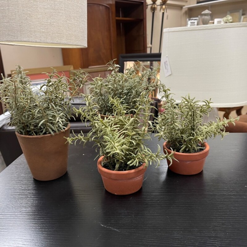 Faux Potted Rosemary, Size: 10 Tall