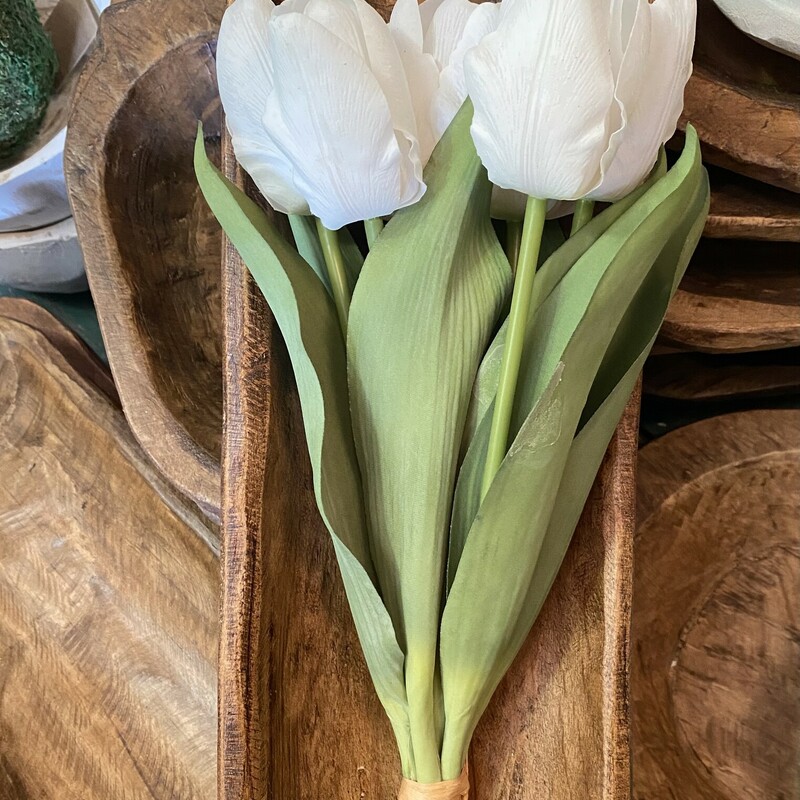 These beautiful real touch tulips are absolutely stunning! They look and feel like real, live tulips! Use these as a gift, or fill your empty vases with a gorgeous flower that you don't have to water! They measure 14 inches long and come in a bunch of 7.